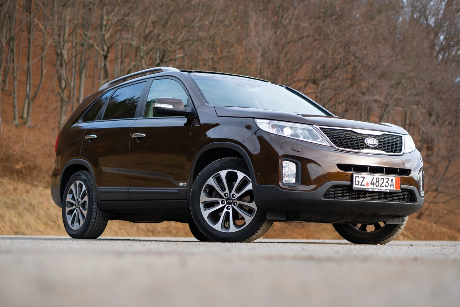 Austrian Pinscher Dog Carrier Car Seat for Kia Sorento