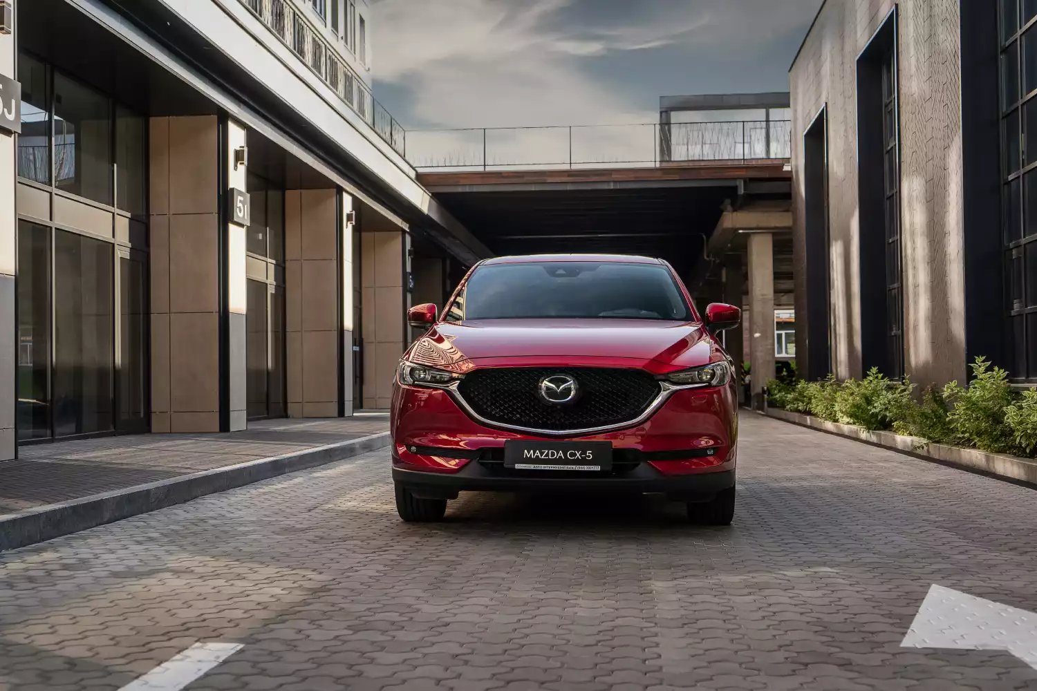 Mazda CX-5 organization ideas