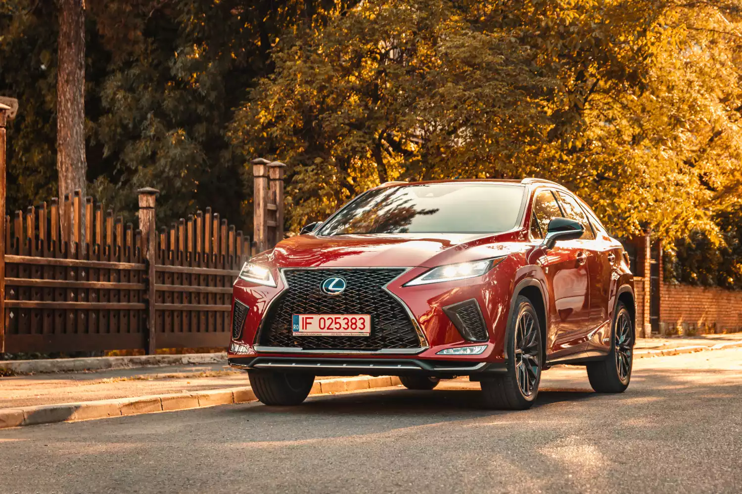 trunk organizer for Lexus RX