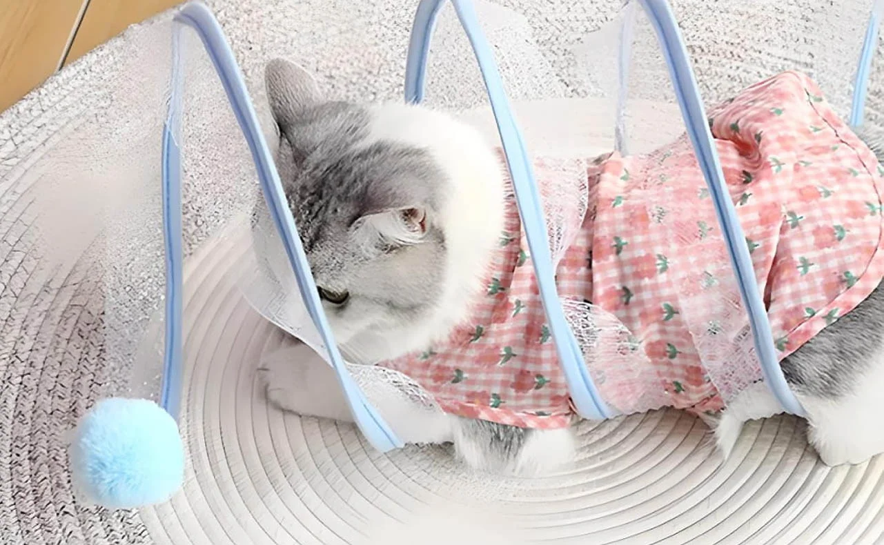 Pet Tunnel for Cats and Kittens