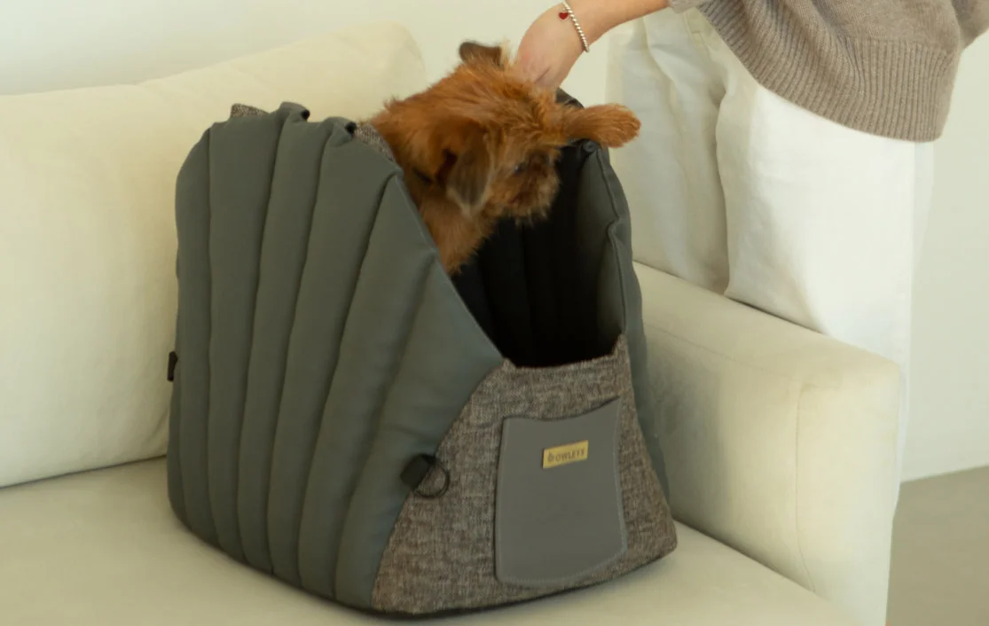 Dog Carrier Purse for Prague Ratter